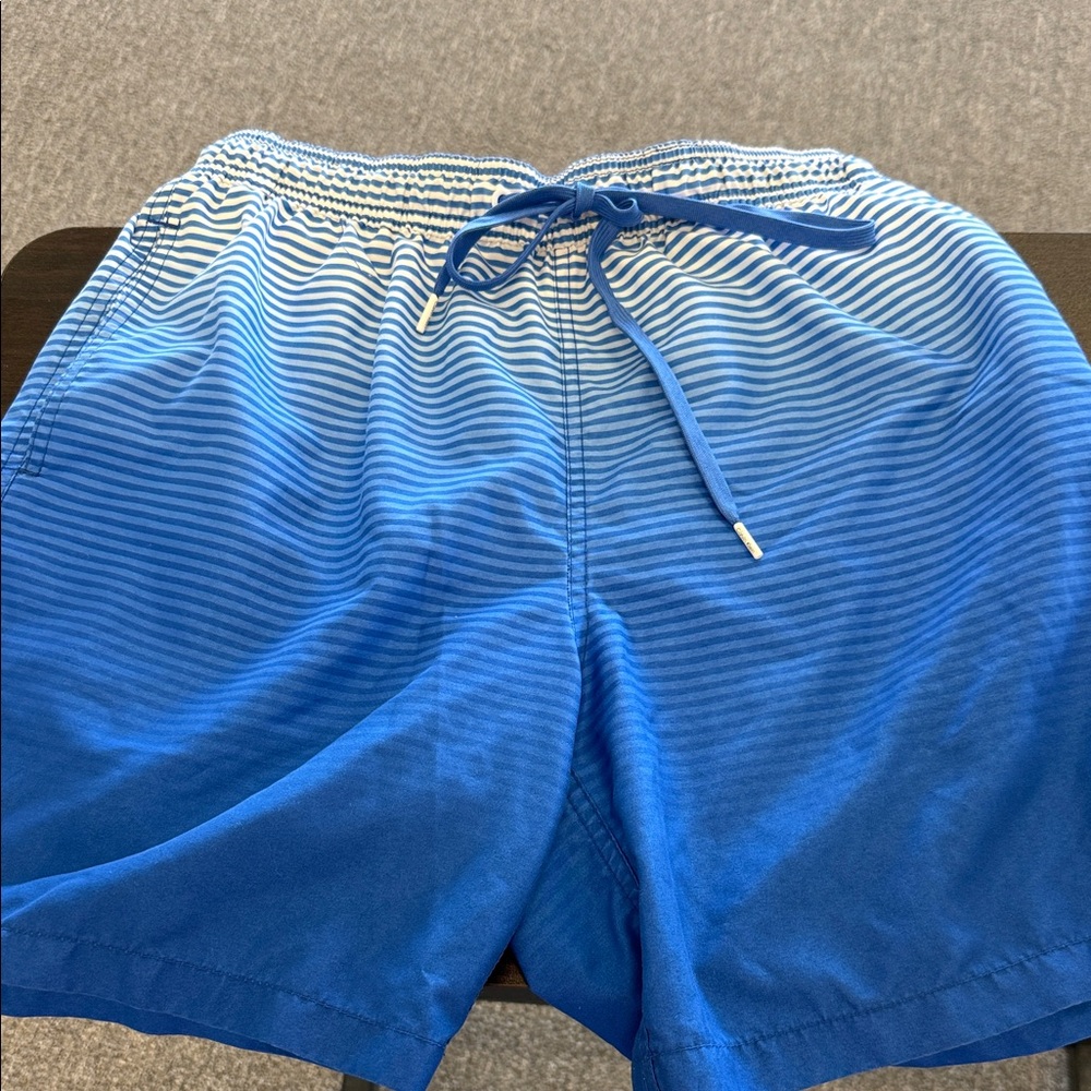 Calvin Klein Blue Ombre Stripe Swim Trunks